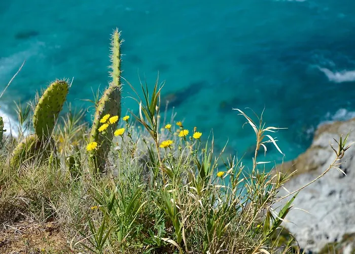 Lägenhetshotell La Meridiana