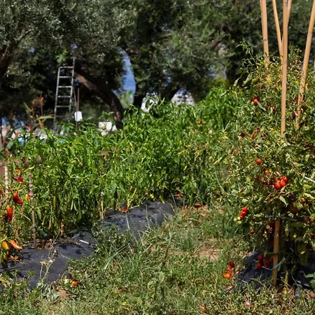 La Meridiana Capo Vaticano