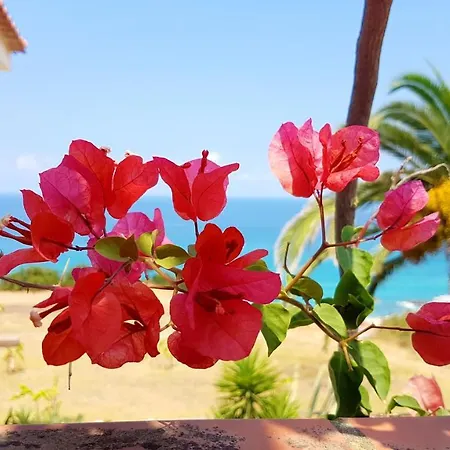 아파트호텔 La Meridiana