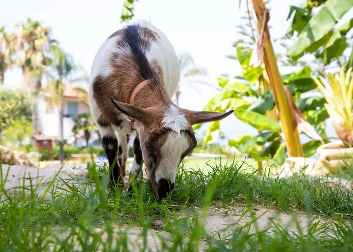 La Meridiana מלון דירות 4*