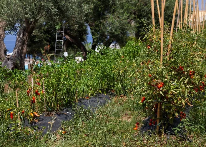 La Meridiana קאפו ואטיצ'אנו